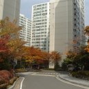 용인역최고공인중개사사무소 이미지