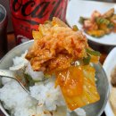 차돌 이미지