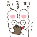 연어가맛있는스시벅스은평