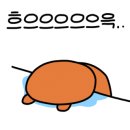 베이직 동물병원 이미지