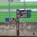 청림운동장 티스토리