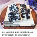 솔로몬프라자 | 개별포장떡 국산 서리태 듬뿍 들어간 콩설기 [윤이네 떡] 솔직후기