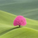 나노그람 이미지