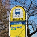 창원 내동패총 이미지