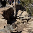 방이주유소 | [미국 서부] 아이랑 그랜드캐년 여행 후기 (숙소, 하이킹 코스, 실전 팁)