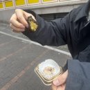 수지장애인복지관 | Mar, 2026 '행복은 바쁜 틈 사이로'