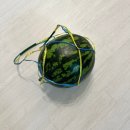 경희랑한의원 이미지