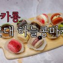 좌4동-12 이미지