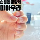 코끼리발톱 | 손발톱영양제 코끼리발톱 미아우라