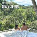 03-E행정 | 발리 비자 신청 관광세 올인도네시아 온라인 작성방법 입국 총정리