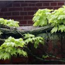 고흥이야기 이미지