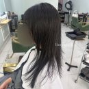 살롱엘(salon L)