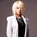 살찐 고양이 카카오 검색결과