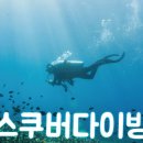 용인스킨스쿠버 이미지