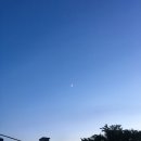 한방돼지촌
