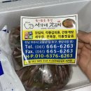 여수 돌산갓 여수 갓김치 택배 서가네갓김치