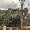 우뭇개일번지 | 제주도 가볼만한 곳 성산일출봉 일출 등산 후기 및 우뭇개일번지 아침식사 ☀