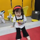 한울타리태권도장 이미지