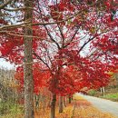 운문골마실길 이미지