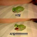 범도 | 탄현 헬스장 범휘트니스에서 PT받은 후기