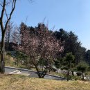 인디아나노래연습장 | 경기 가평 / 리앤리cc 가평 골프장추천 레이크 하이랜드코스 라운딩후기