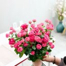 결혼 준비. 북촌, 을지로 야외 웨딩 스냅 (w. 박개인주의)