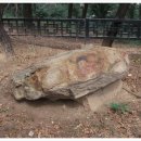 자연보호 헌장비 | [수원박물관/근대 수원 문화 엿보기] 영원한 수원의 상징 &#39;팔달산&#39;