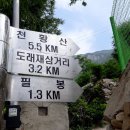 필봉민박 이미지