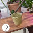 몰몰하우스 이미지