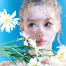 참진에너지 이미지