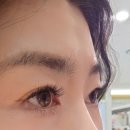 세븐일레븐 포항양덕타운점 | 속눈썹 연장 잘하는 뷰티샵,포항 양덕 무모먼트 추천해요