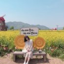 옛날시골보리밥집 이미지