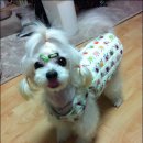 달샘 이미지