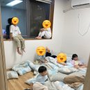 옥화자연휴양림 | [휴양림 도장깨기]충북 옥화자연휴양림 잣나무호 이용후기