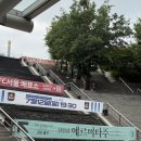 위너스FC실내구장 | K리그 16R 직관하기 FC서울 서울월드컵경기장역 지하철로 축구보러간 후기
