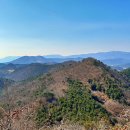 기장 매화원 매화탐방, 일광산 백두사 or 달음산 옥정사 이미지