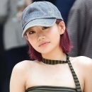 쥴리고 이미지