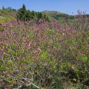 지리산허브벨리 이미지