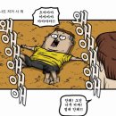 로바타화목 이미지