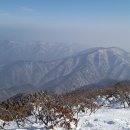 안성 국제 행정사사무소 이미지