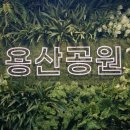 용산-116 이미지