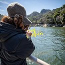 장회공용화장실 | 이번 주말 힐링은 장회나루유람선 타고 물멍 때리기
