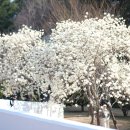 삼광파크 이미지