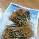 종근농장 이미지