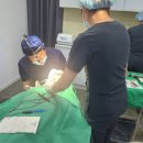 에프아이성형외과의원 | [공지] 강남 리쥬란 효과 시기부터 전후 차이까지 <솔직 후기> 에프아이 성형외과