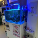 미니멍 살롱 이미지