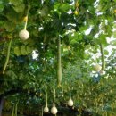 대림1동 주민센터 내 이미지