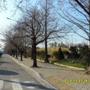 창원대로 이미지