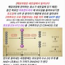 인싸짐 학익점 이미지