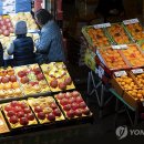 전통과일 이미지
